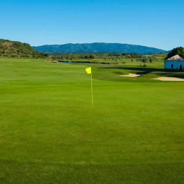 Affordable Golf Courses for Every Enthusiast